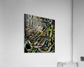 III Banjos Acrylic Print