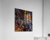Retrocausality Acrylic Print