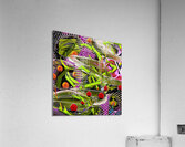 Apellucidity Acrylic Print