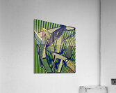 Roller Coasterish Blades of Grass Acrylic Print