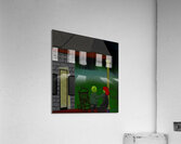 Lucius & Ivy Acrylic Print