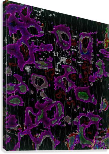 What Sharon Graffia Stole Canvas Print