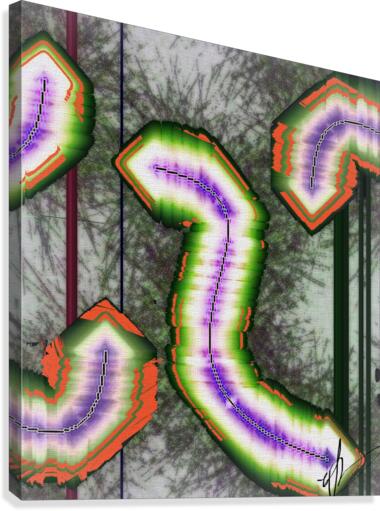 Unidentified Sky Snakes Canvas Print