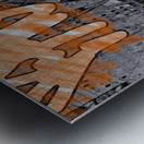 Zimbabwe Gakachika Metal print