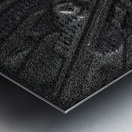 Approximately 250 Kilometers From Manaus Metal print