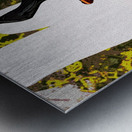 Sweart Fyr Metal print