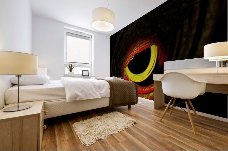 Oculus Noctuae Mural print