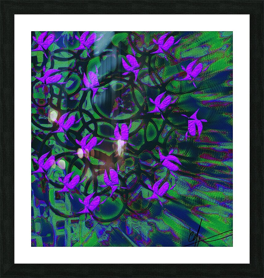 Cranesbills Picture Frame print