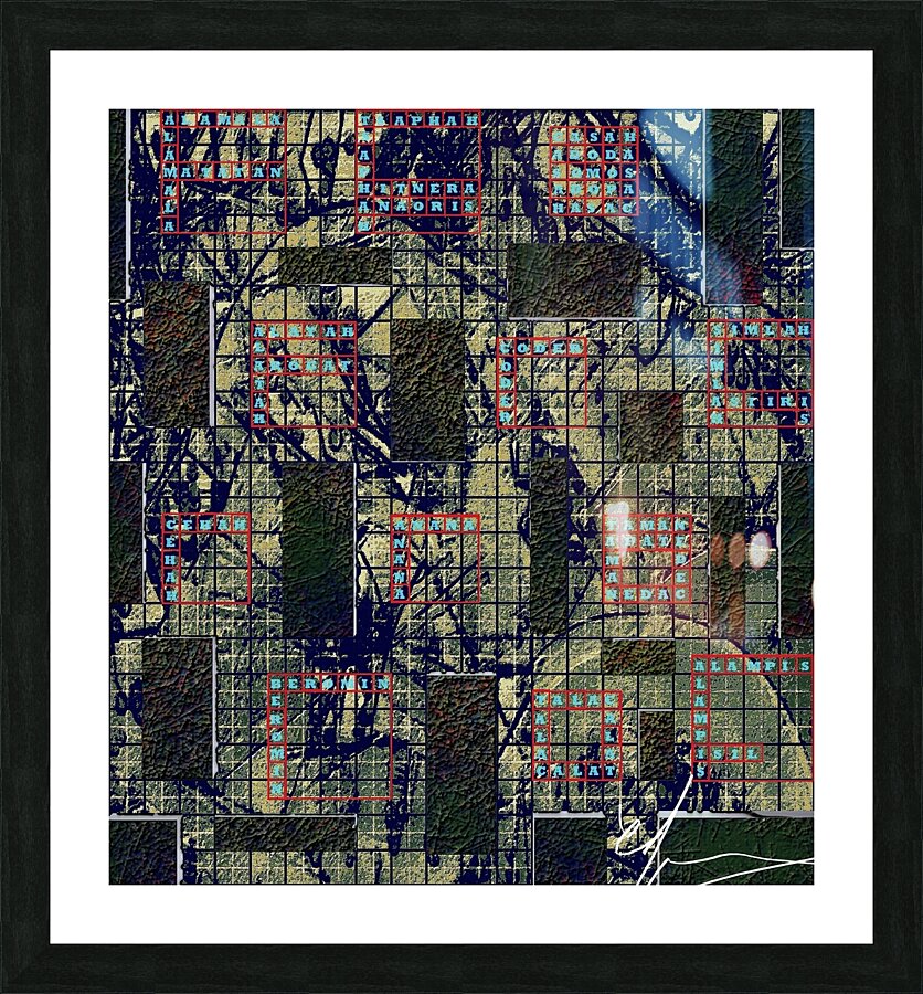 Invisibility Picture Frame print