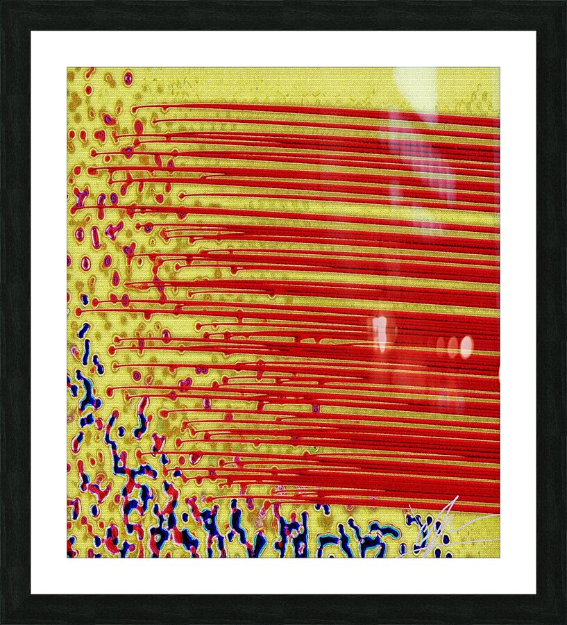Cell Migration Picture Frame print