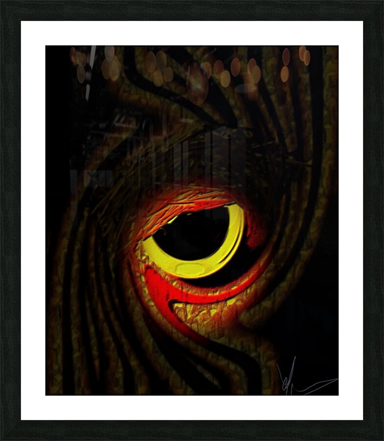Oculus Noctuae Picture Frame print