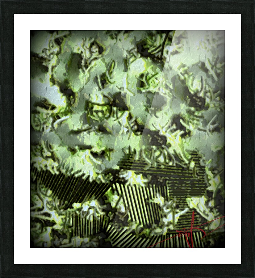 Moonflowers Picture Frame print