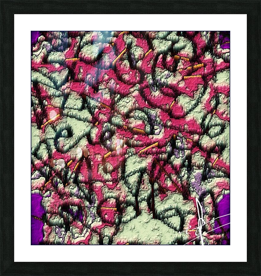 Callisto Picture Frame print