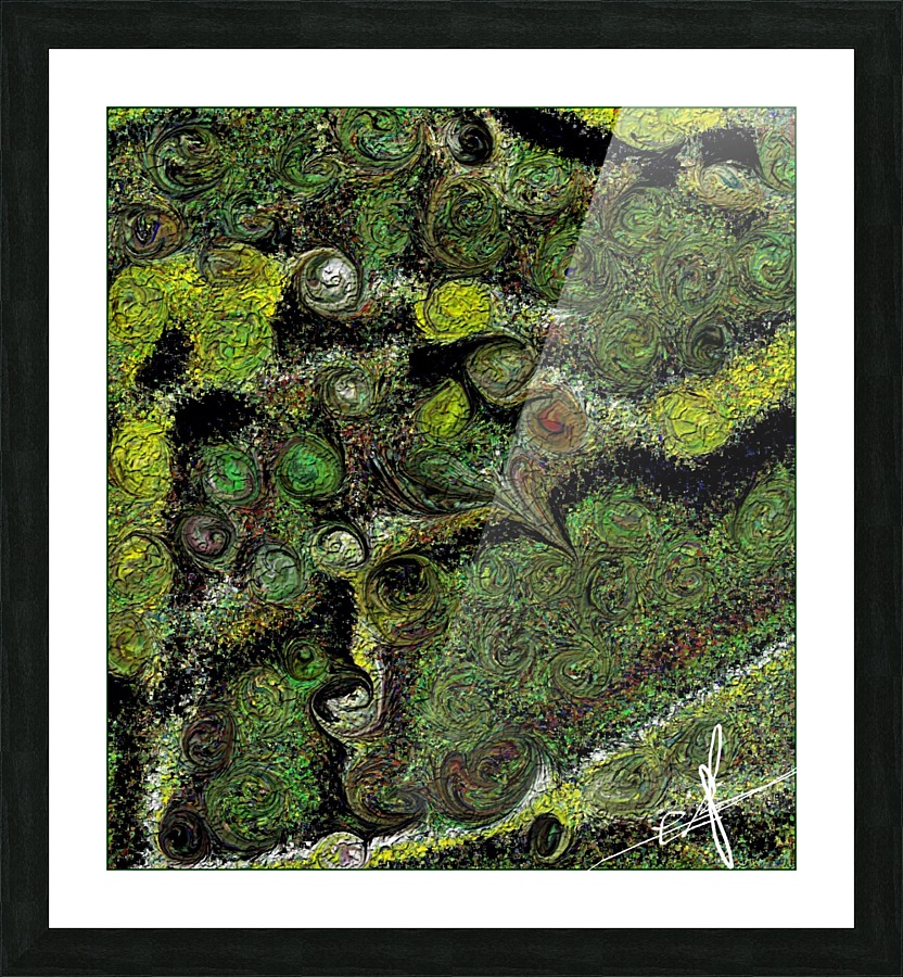 Locusta Migratoria Picture Frame print