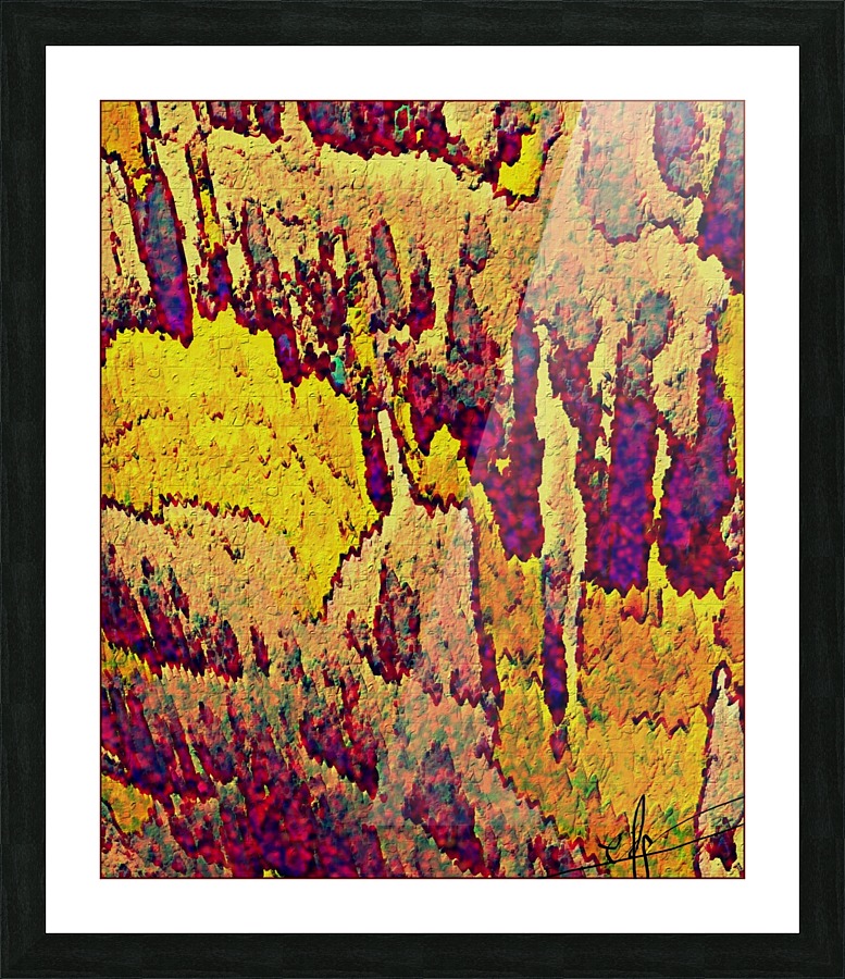 Fiesta de Avalanchas Picture Frame print