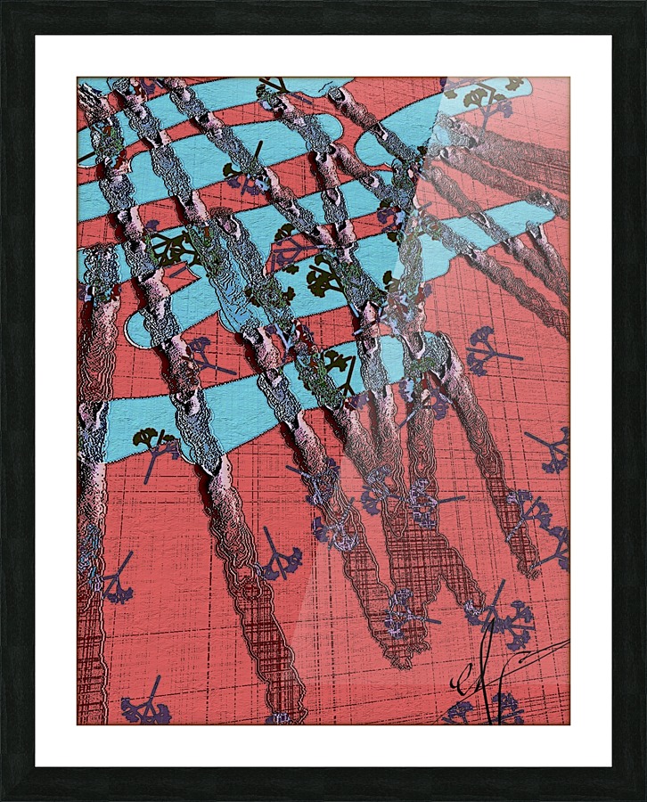 Area 52 Picture Frame print