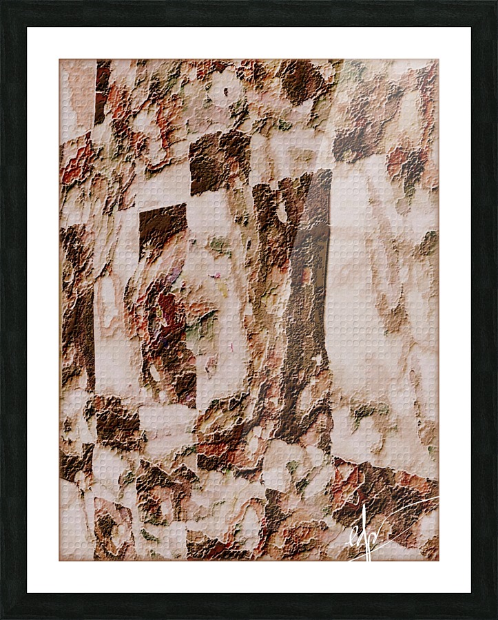 Sequoiadendron Giganteum Picture Frame print