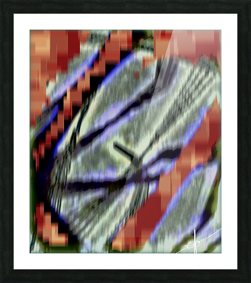 Class Five Full Roaming Vapor Picture Frame print