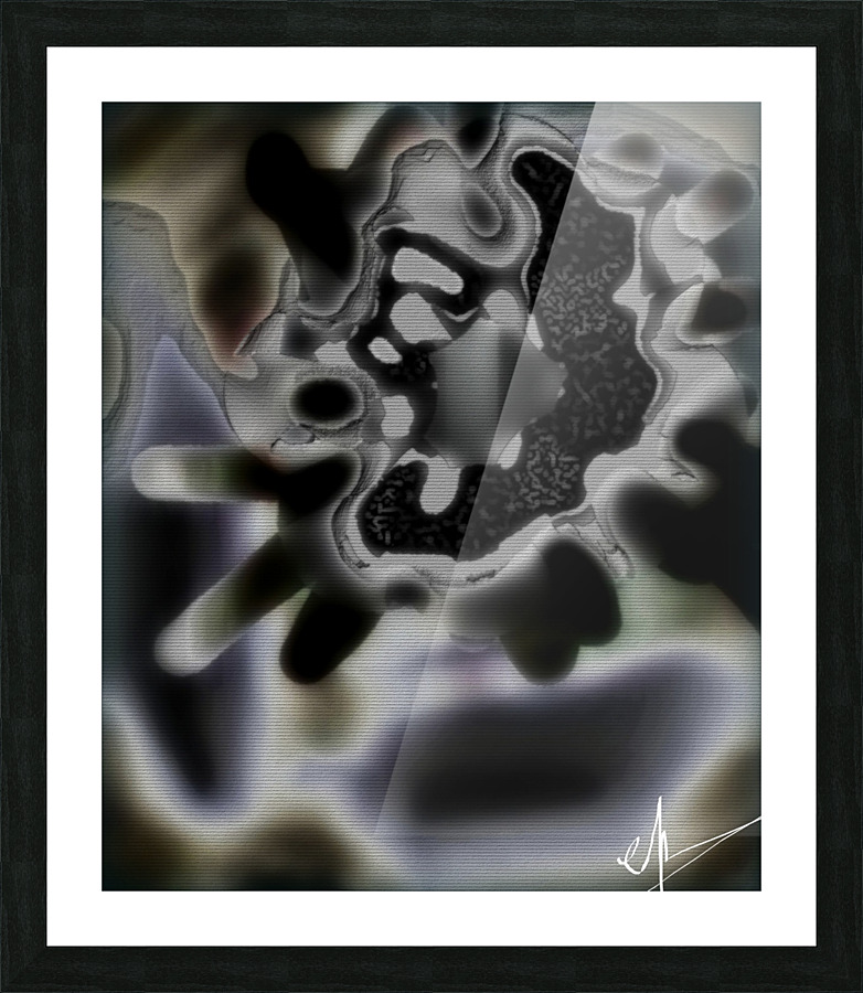 CDM Picture Frame print