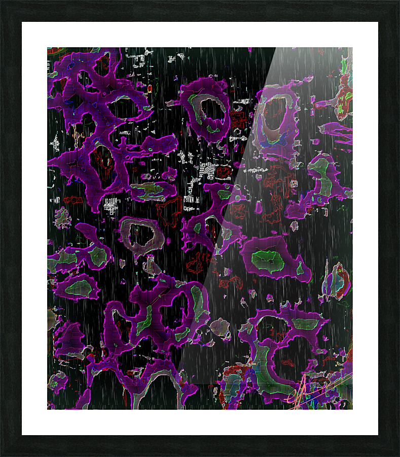 What Sharon Graffia Stole Picture Frame print