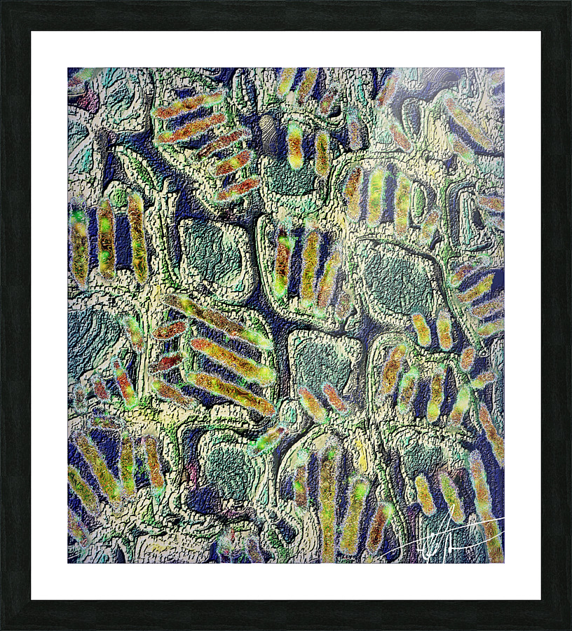 Cabbageworm Day Trip Picture Frame print