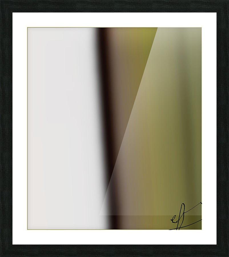 Inanis et Null Picture Frame print