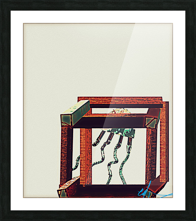 Boxed Box Jellyfish Picture Frame print