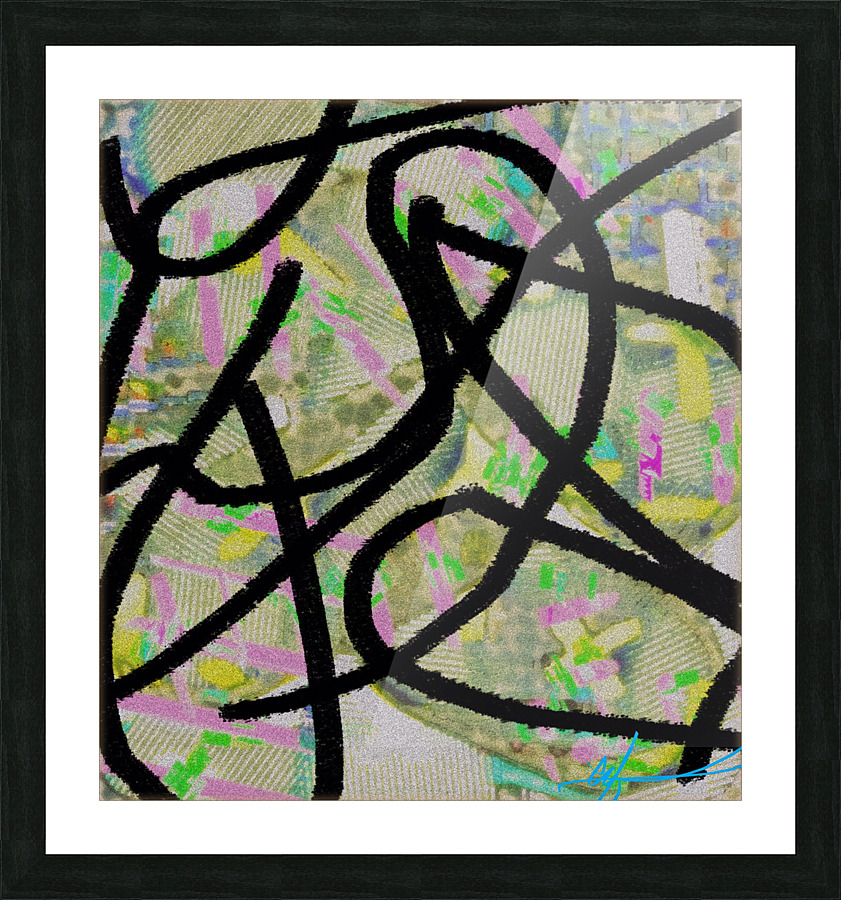 Black Rat Snake Interruption Picture Frame print