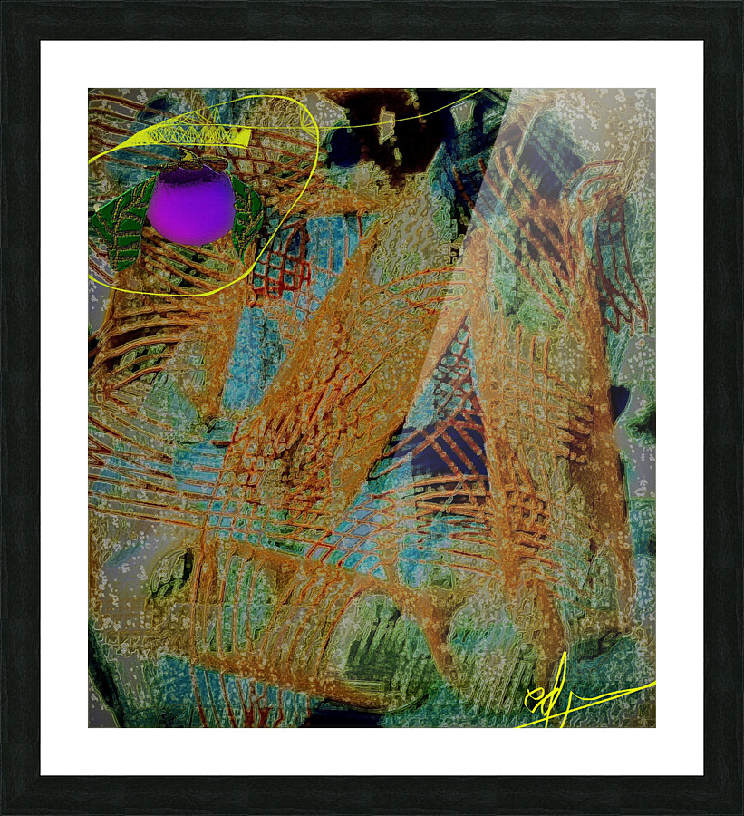 Mangosteen Picture Frame print