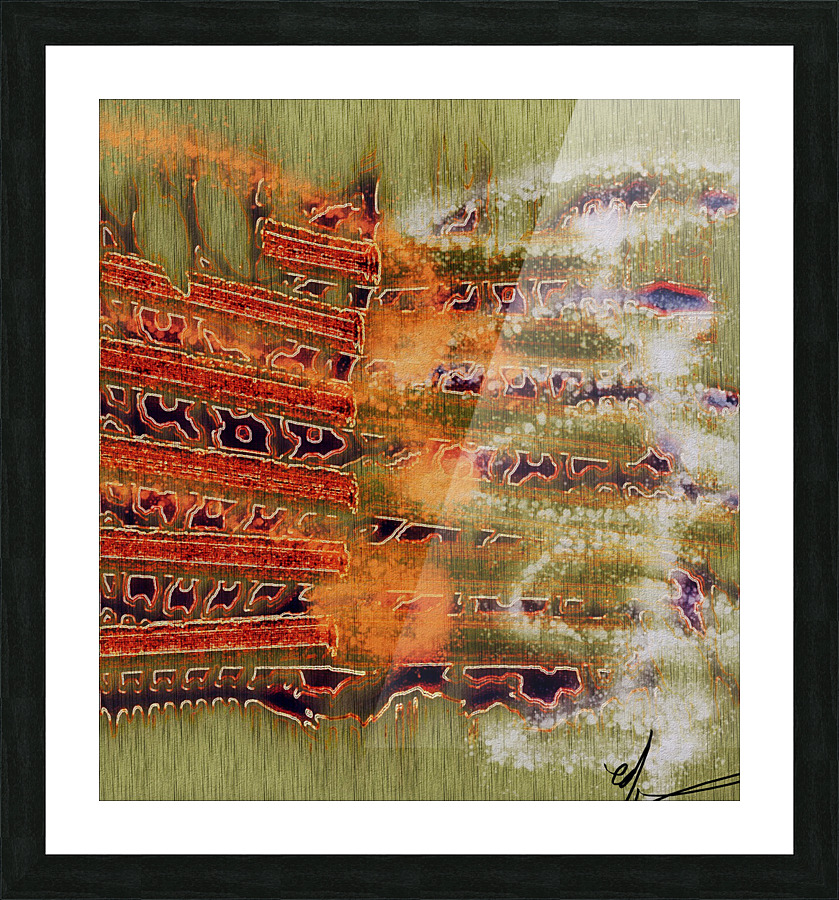 Kablooey Introrsus Picture Frame print