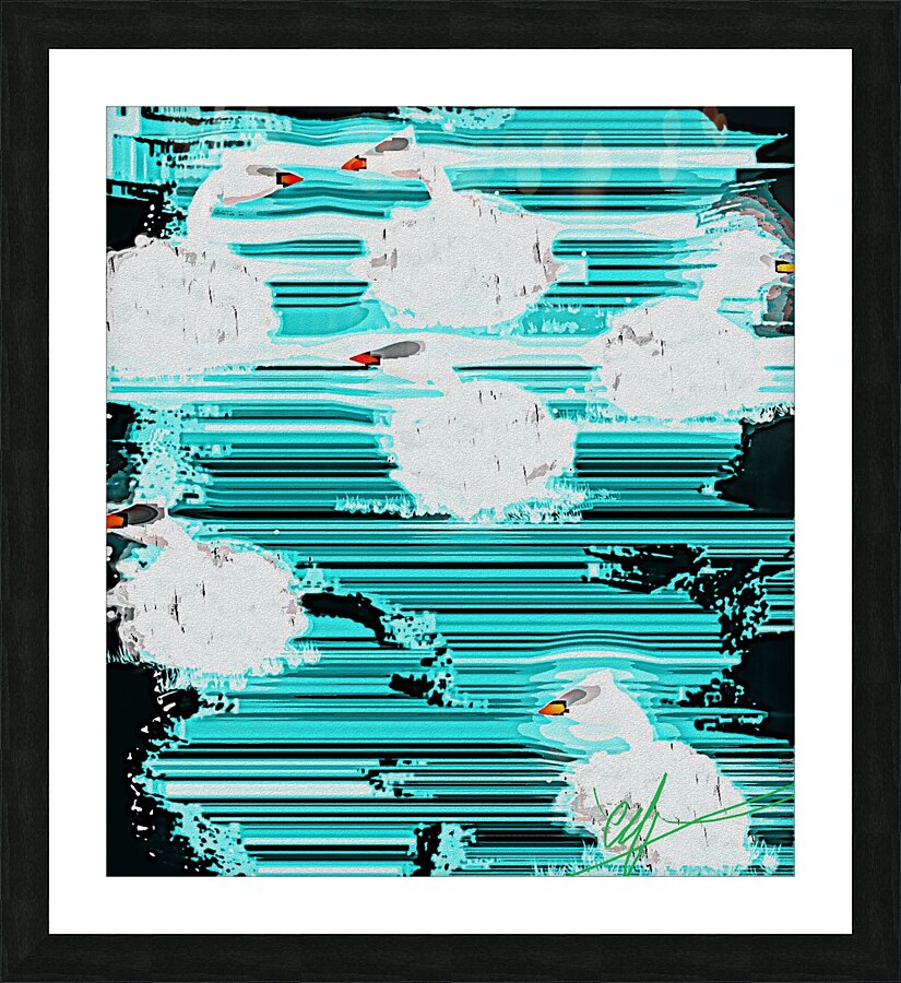 Promiscuous Swans Picture Frame print