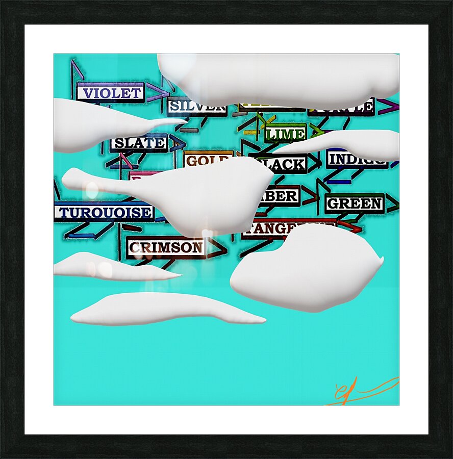 Flying Colors Picture Frame print
