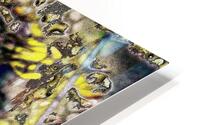Segue Majestic HD Metal print