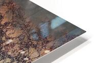 The Hemlock HD Metal print
