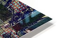 Invisibility HD Metal print