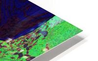 Follicles & Dermis HD Metal print