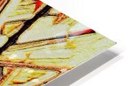 Yolk & Twigs HD Metal print