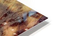 Ancient Orange HD Metal print