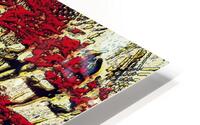 Somewhere Between Revenge & Retribution HD Metal print