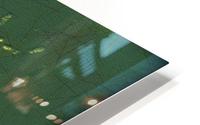 Uncharted Desuetude HD Metal print