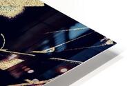 Architectural Phytology HD Metal print