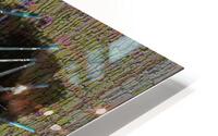 Romanticized Violence HD Metal print