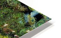 Locusta Migratoria HD Metal print