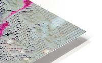 Impressionable Leftovers HD Metal print