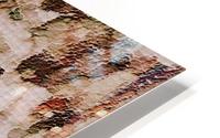 Sequoiadendron Giganteum HD Metal print