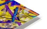 Certainly a Study of Squiggly Swirly Spring Things HD Metal print