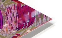 Somewhere Between Red & Green HD Metal print