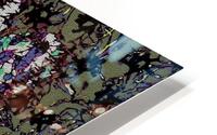 Insect War HD Metal print