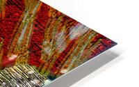 Indicia Laccolith HD Metal print