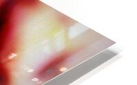 Anacair HD Metal print